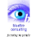 Bluefire Consulting logo