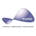 Bluefish Communications logo