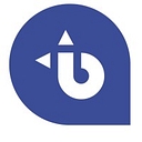 BLUE FLEET logo