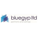 Bluegyp logo
