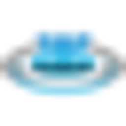 Blue Hippo Car Wash logo