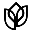 Blue Iris Tech Consulting