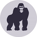 Bluekong Networks logo