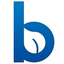 Blueleaf.Com logo