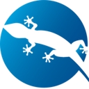 Blue Lizard Services logo