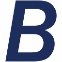 Bluemark, Llc logo