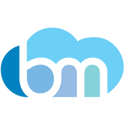 bluemaven.ca