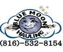 Blue Moon Hauling & Excavation logo