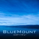 Bluemount Capital logo