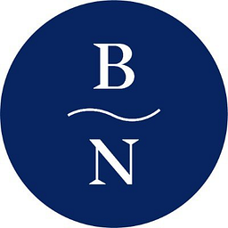 Blue Nile, Inc. logo