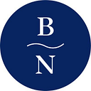 Bluenile logo