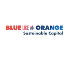 BLUE LIKE AN ORANGE CAPITAL US LLC logo