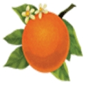 Blue Pacific Flavors, Inc. logo