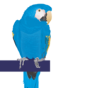 BlueParrott
