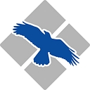 Blue Raven, Inc. logo
