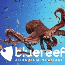 Blue Reef Aquarium logo