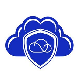 Blueridge Infotech Corp logo
