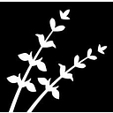 Favicon of Blue Sage Capital