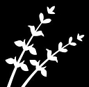 Blue Sage Capital logo