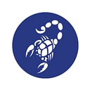 Blue Scorpion Limited logo