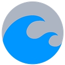 Blue Sea Capital Llc logo