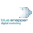 Favicon of Bluesnapper