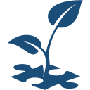BlueSprig logo