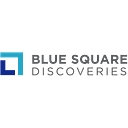 Favicon of Blue Square Discoveries