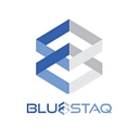 Bluestaq Llc logo