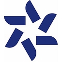 Blue Star New Zealand logo