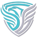 Bluestone Medical logo