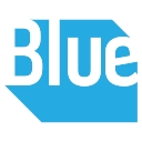 Bluestonex Consulting logo