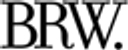 Blue Toro logo