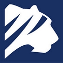 Logo for bluetyga.com
