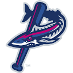 Blue Wahoos Stadium logo