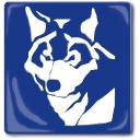 Favicon of Bluewolf-Production