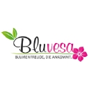 Bluvesa.de logo