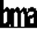 Brown, Mitchell & Alexander, Inc. logo