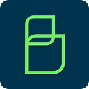 Brand Networks logo