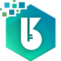 BnK Solution logo