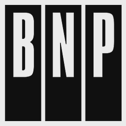 BNP Associates Limited logo