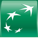 BNP Paribas Real Estate logo