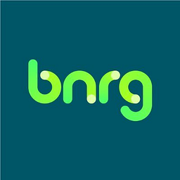 BNRG Developments USA LLC logo