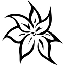 Graphic Design & Photography logo