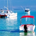 Boat Paradise logo
