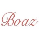 boazwed.com icon