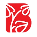 Bø Blad As