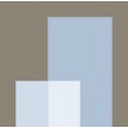 Boca Ciega High School logo