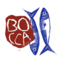 BOCCA NISSA logo