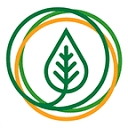 Bodykind logo